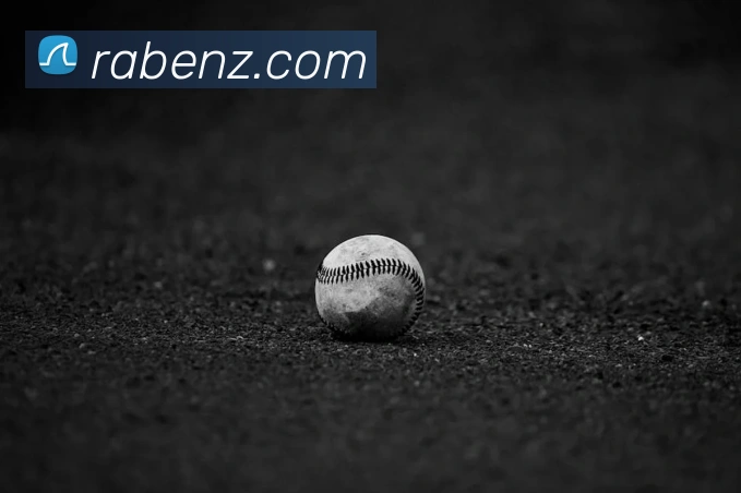 电子游戏pg娱乐官网服务体系